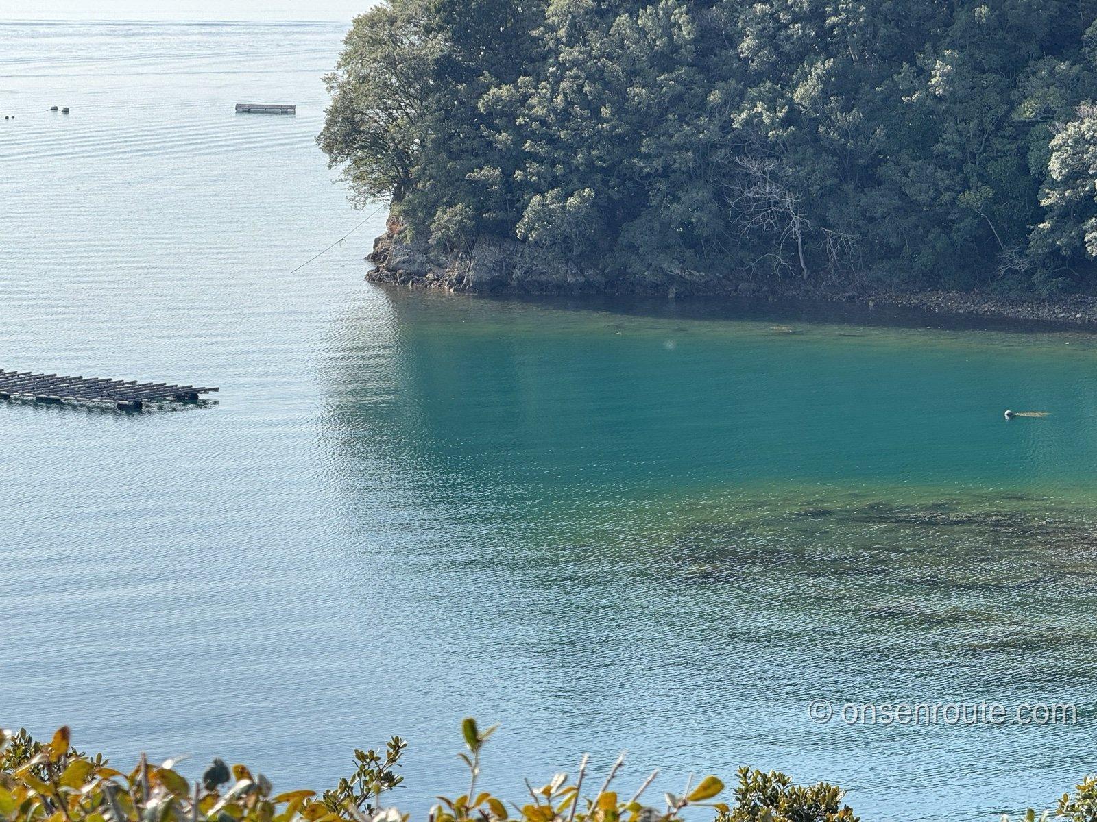 澄んだエメラルド色の入り江。海底の岩が透けて見え、左に養殖筏、奥に木々の茂る岬