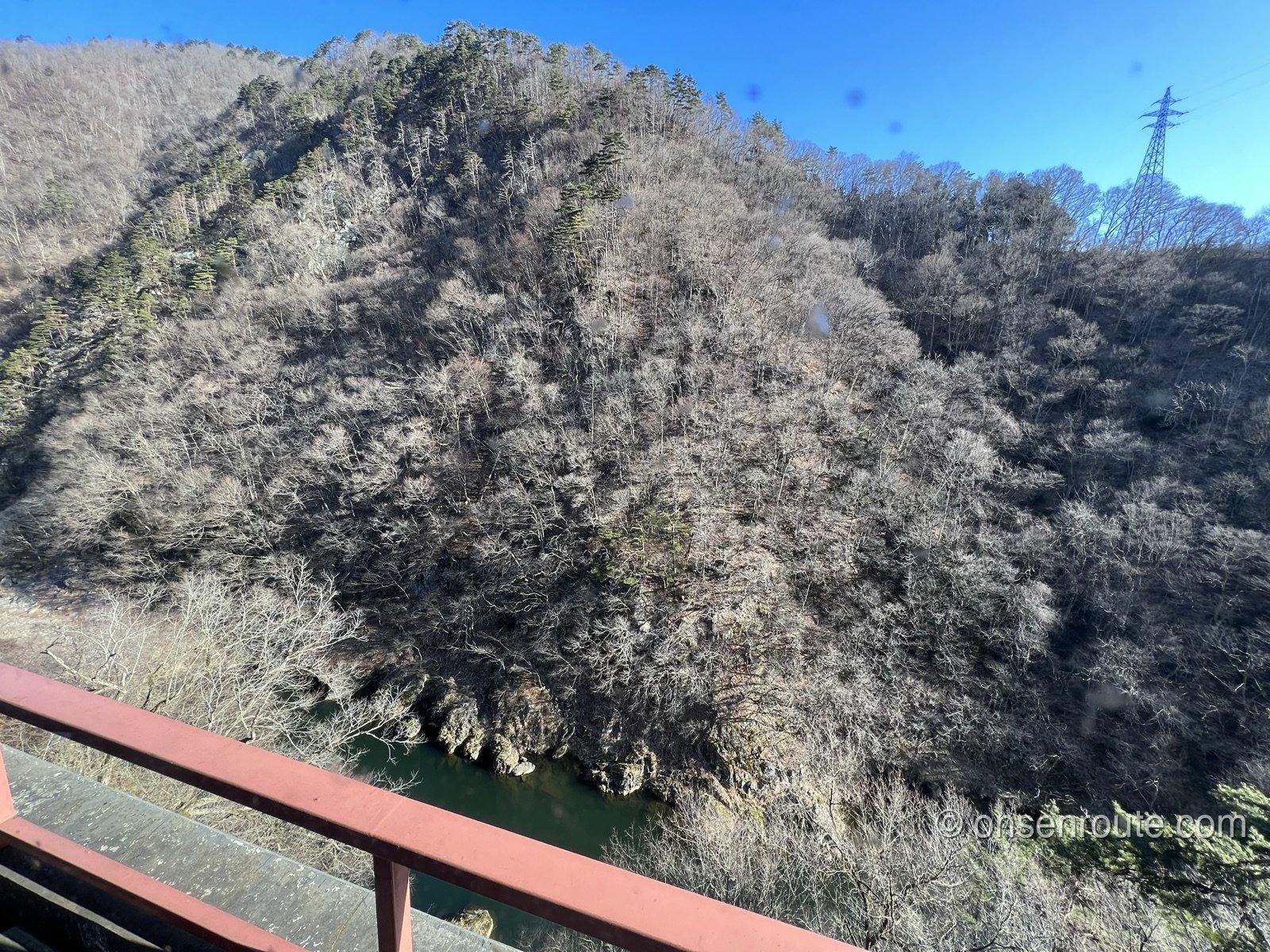 部屋の窓から見下ろした大川の渓谷。冬枯れの山肌の間を深い緑色の川が流れる
