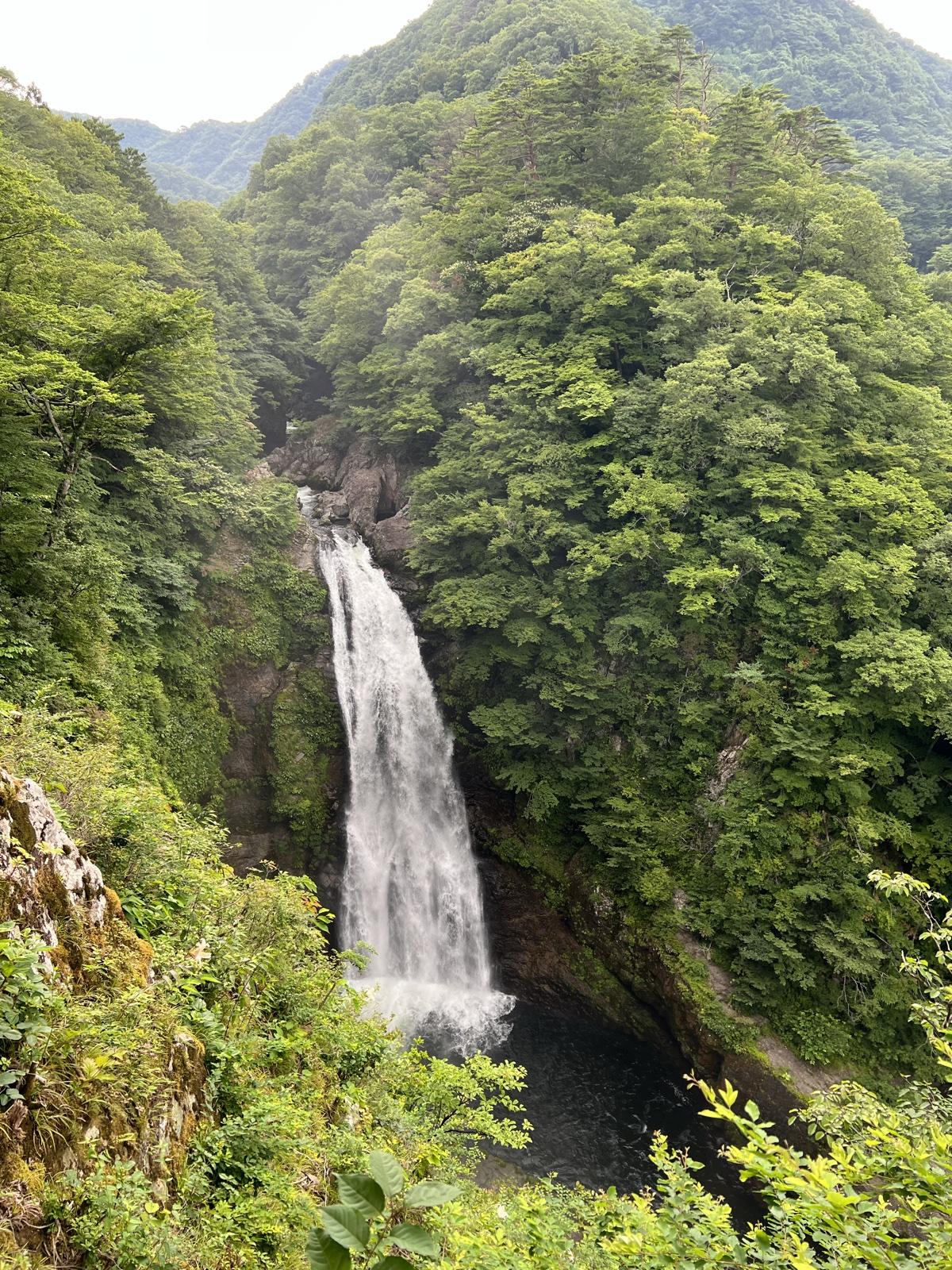 展望台から見る秋保大滝。緑の山肌の間を落差55mの滝が落ちる