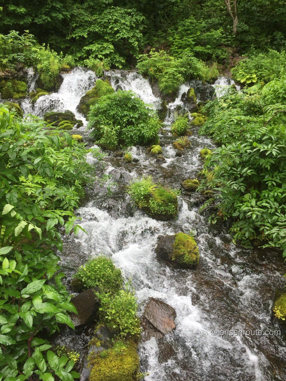 ふきだし公園の湧水の流れ。緑の木々の間を白い水流がいくつも滝のように流れ落ちる