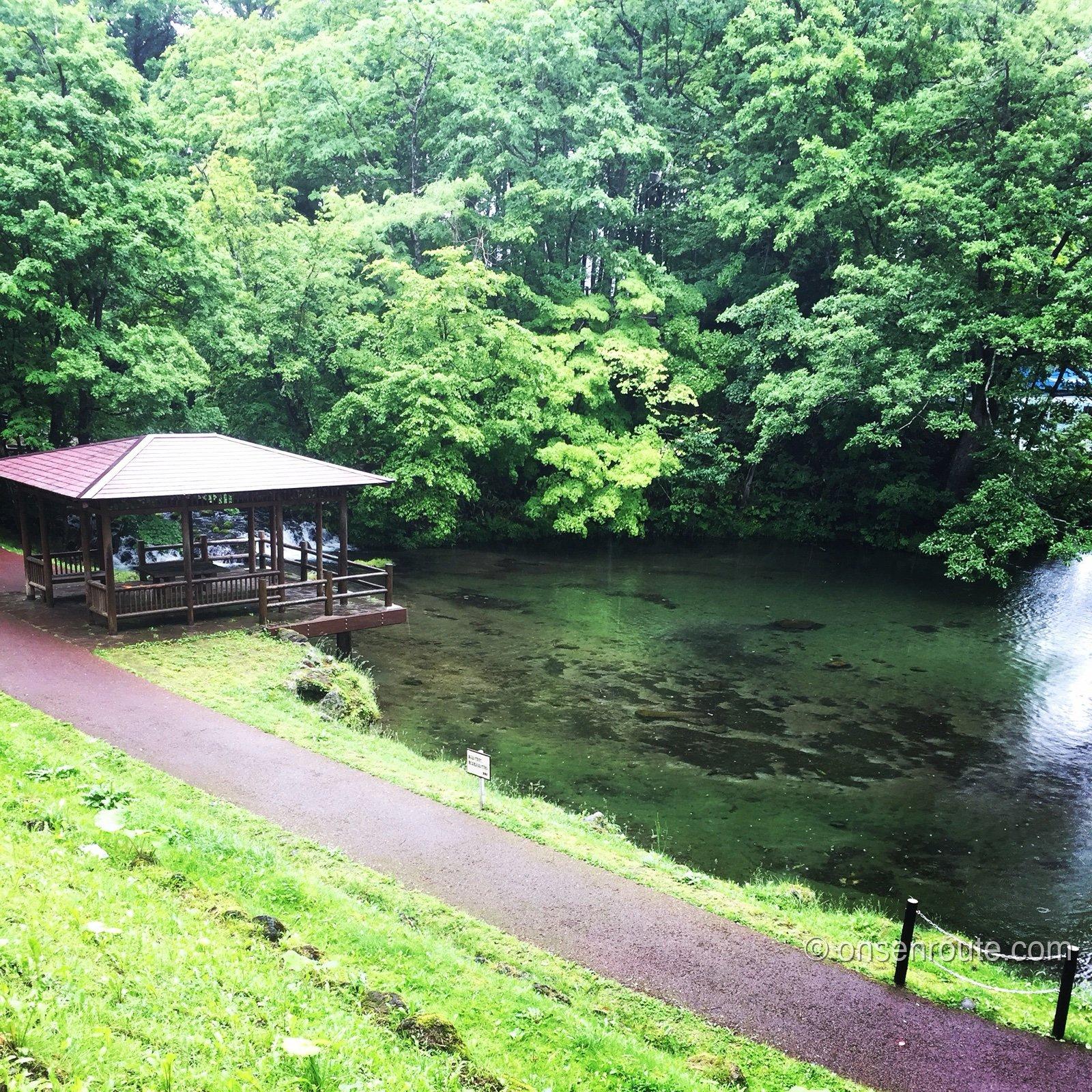 ふきだし公園の湧水池。東屋と遊歩道があり、透き通った水面に緑が映る