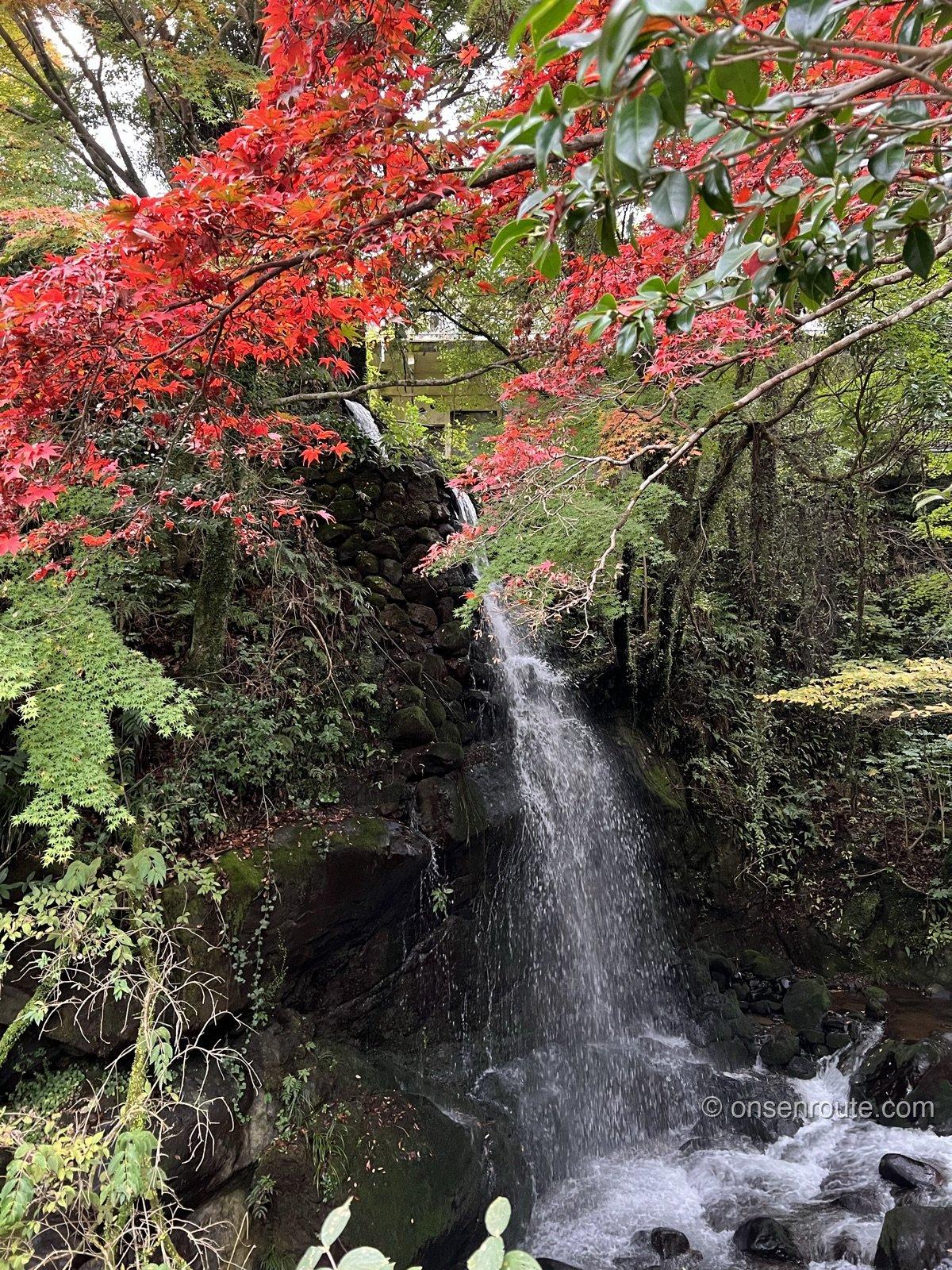 万葉公園の渓流と紅葉