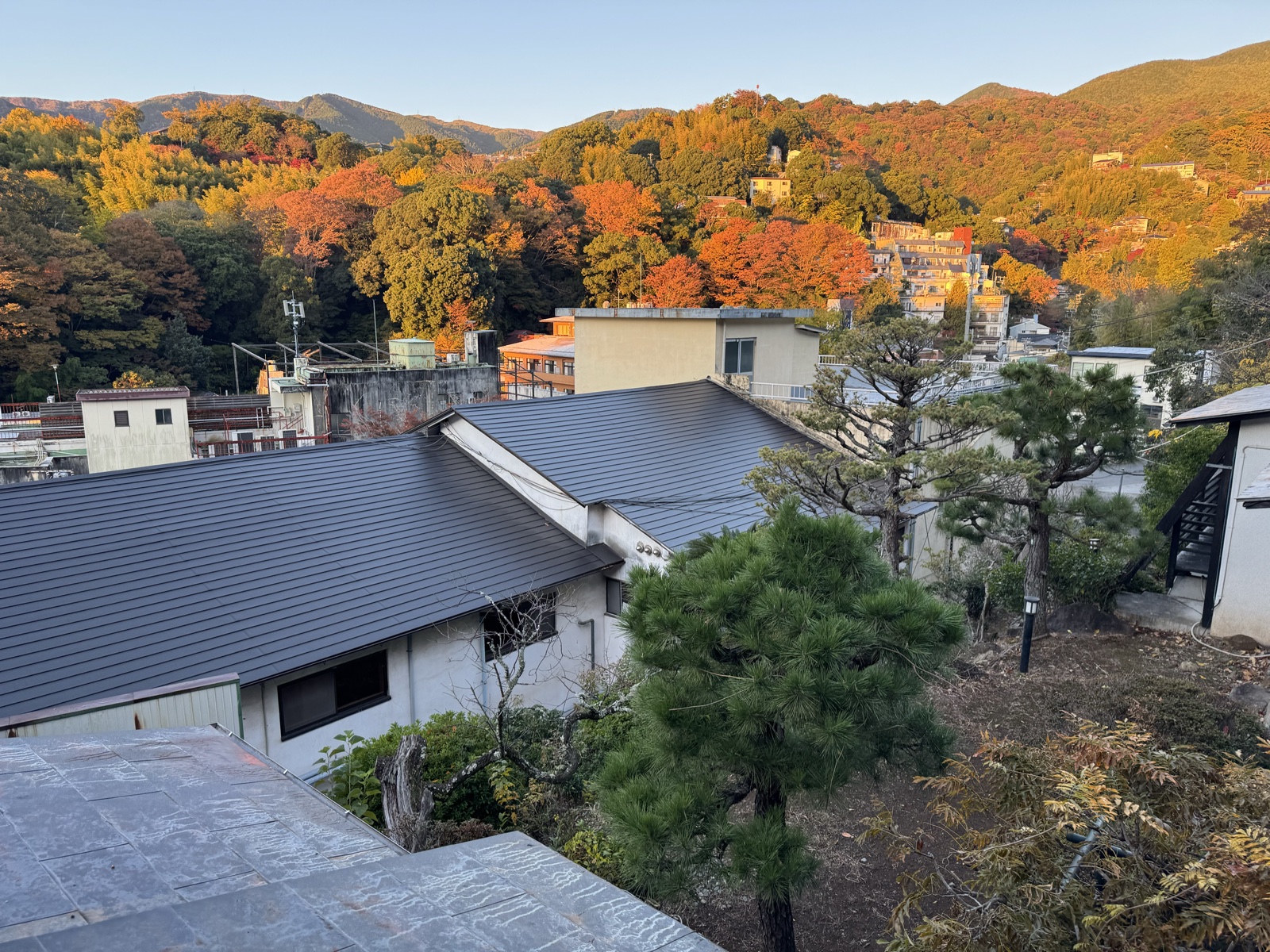 高台の宿から見下ろす、紅葉に染まる湯河原温泉街