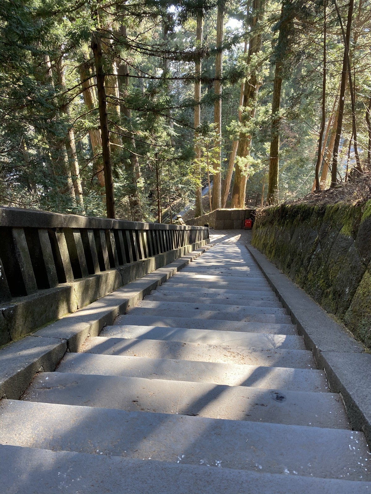 杉木立の中をまっすぐ延びる奥宮への石段